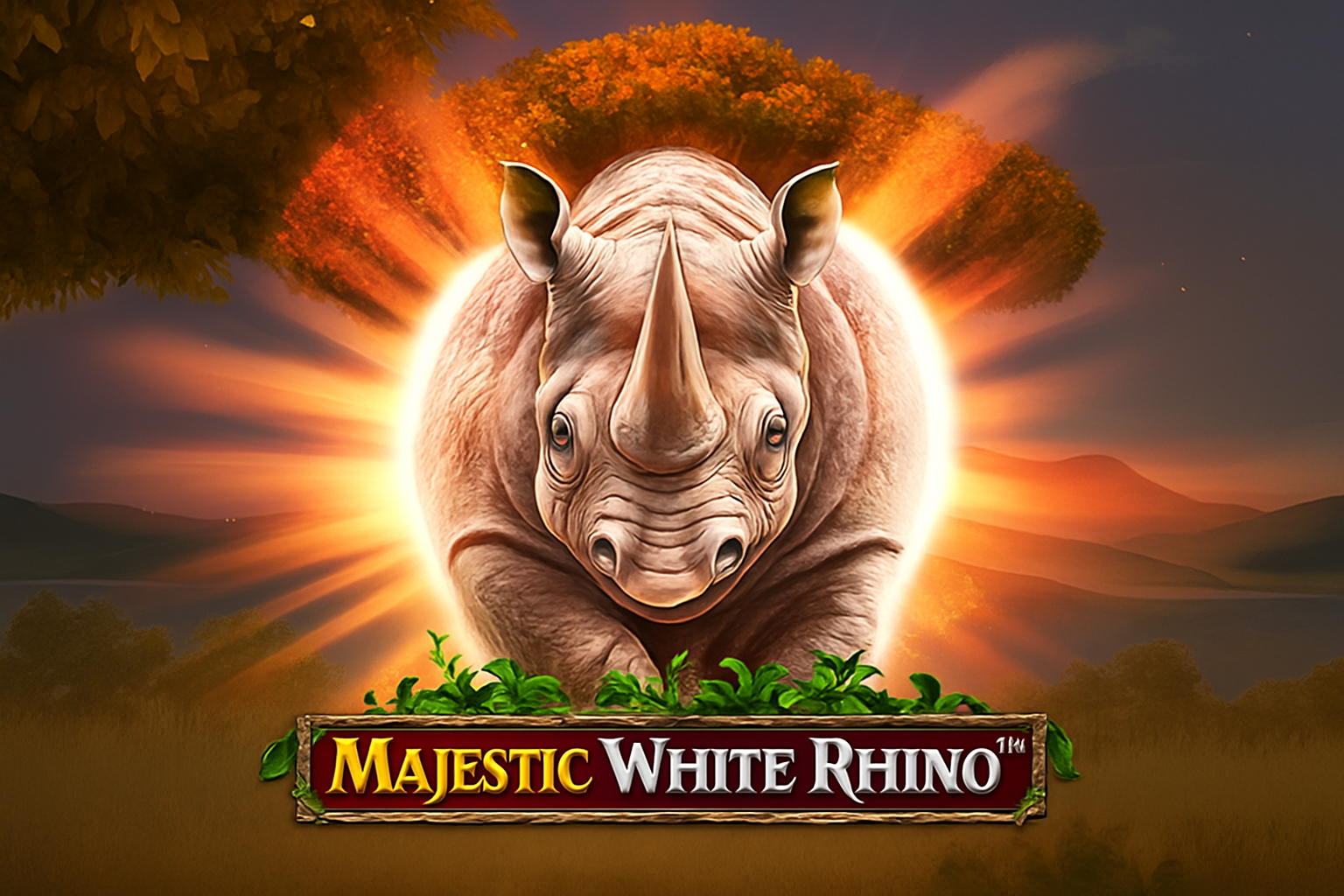 Majestic White Rhino